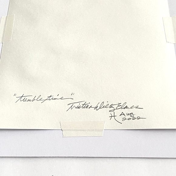 Tumble Time - Original Wall Art Watercolor Painting Matted Frame Ready 11”x14” - Picture 4 of 4